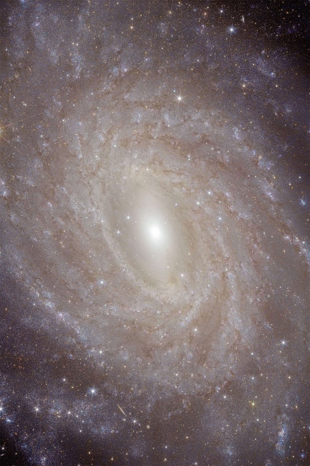 An image of a sprawling spiral galaxy, showcasing numerous bright stars and a glowing core at its center. The galaxy's spiral arms are studded with dense star clusters and dust, all set against a backdrop of deep space, dotted with more distant stars and galaxies.