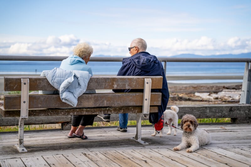 Two elderly people sitting on a bench looking at a calm sea, with two dogs sitting nearby, one leashed on the bench and one on the wooden deck.