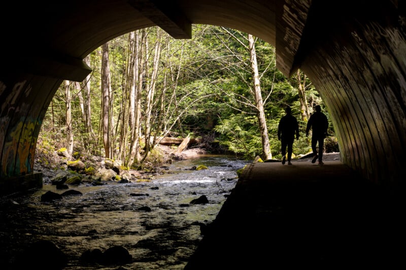 Two people walk under a graffiti-covered bridge beside a forest stream, emerging into a sunlit woodland.