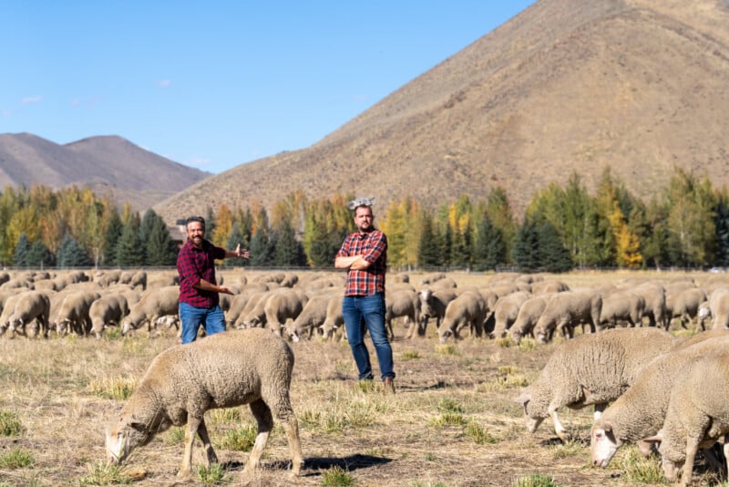 Two men in plaid shirts stand in a field with a flock of sheep, pointing and discussing, with tree-lined mountains in the background.