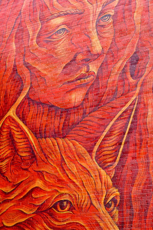 A vibrant mural depicting a woman with flowing red hair and intense gaze, alongside a fox in matching fiery hues, intricately painted on a textured, brick-like surface.