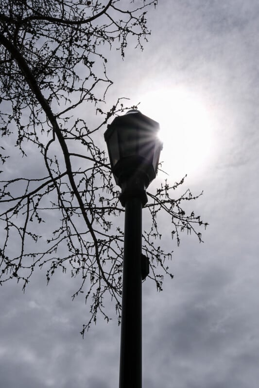 A silhouette of a streetlamp with intricate branches in the foreground is seen against a bright sun obscured by clouds in the sky. The image captures the contrast between the darkened streetlamp and branches with the glowing sunlit background.