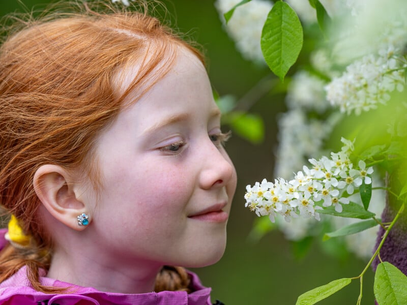 A young girl with red hair and wearing blue flower-shaped earrings is smiling and smelling a cluster of white flowers on a tree branch. She is dressed in a purple outfit, and the background is filled with greenery.