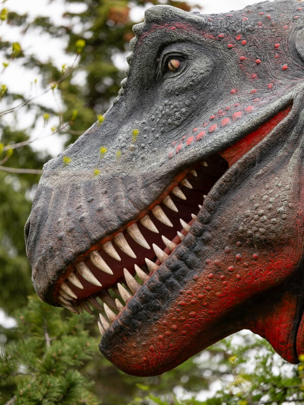 Close-up of a life-sized, detailed dinosaur sculpture showcasing a ferocious-looking face with sharp teeth. The head is intricately textured with grey skin and red patterns. Green foliage is visible in the background.