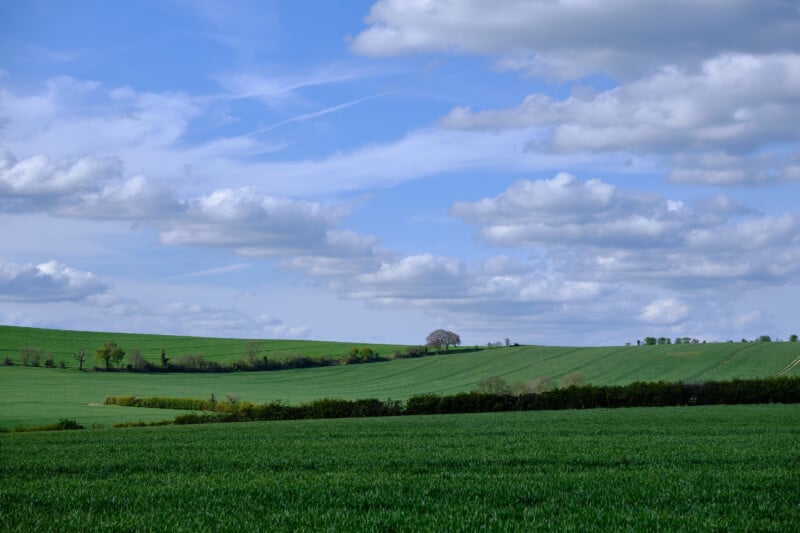 A serene landscape of rolling green hills under a bright blue sky dotted with fluffy white clouds. A patchwork of vibrant grass fields stretches to the horizon, where a lone tree stands. A hedgerow cuts horizontally across the middle of the scene.