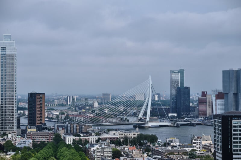 A panoramic view of the Erasmus Bridge spanning the Nieuwe Maas river in Rotterdam, Netherlands. The skyline features a mix of high-rise buildings and modern architecture. The foreground includes urban areas with trees and smaller structures. The weather is overcast.