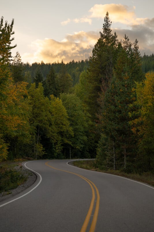 A winding road with vibrant yellow and green trees under a sunset sky.