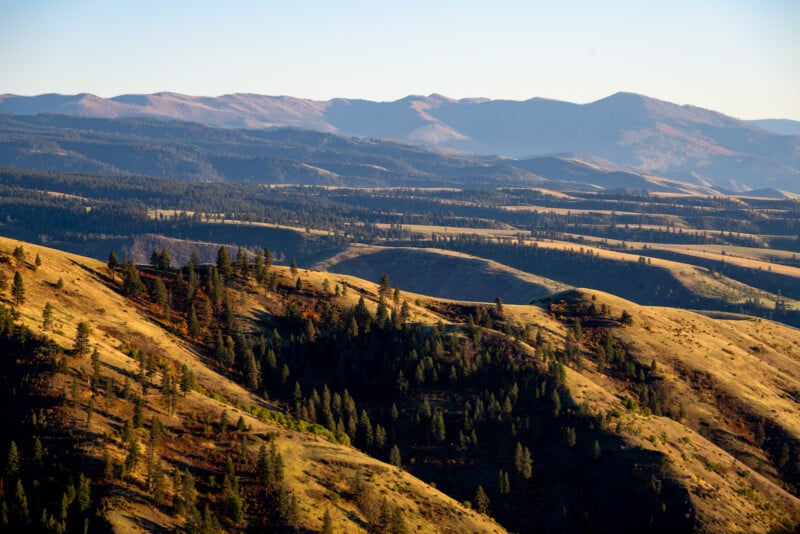 A scenic landscape showcasing rolling hills dotted with trees, bathed in the golden light of sunset, with expansive forested mountains under a clear sky in the background.