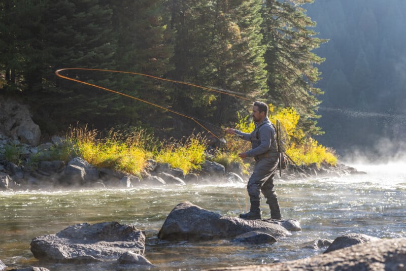 A man fly fishing in a river, standing on rocks with a backdrop of pine trees and mist, under soft sunlight.