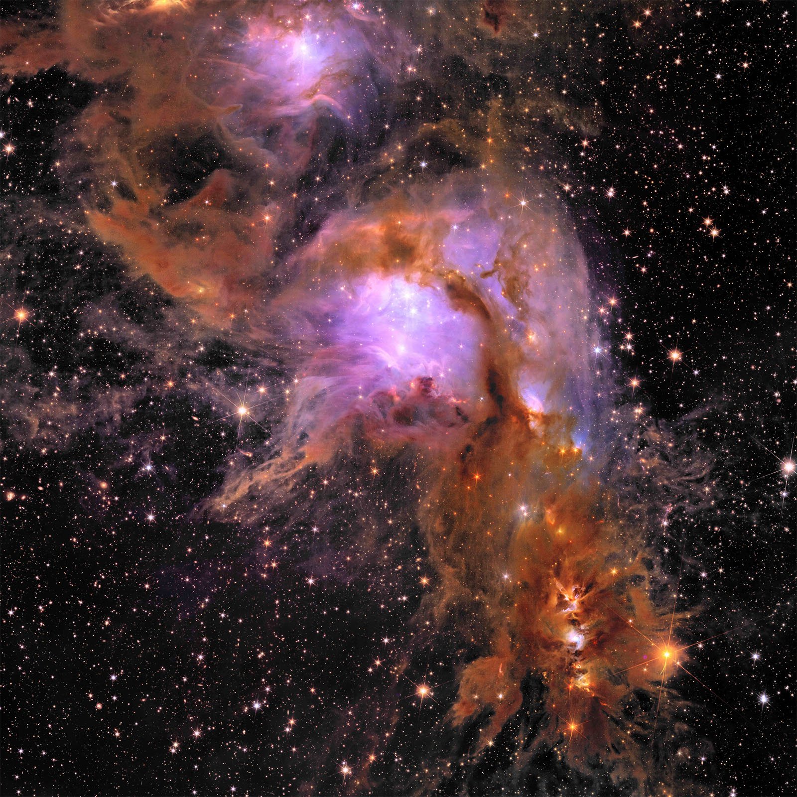 A vibrant cosmic scene featuring the Monkey Head Nebula, with swirling clouds of pink, purple, and orange gas and dust. Numerous stars are scattered throughout the black background, shining brightly against the colorful nebula.