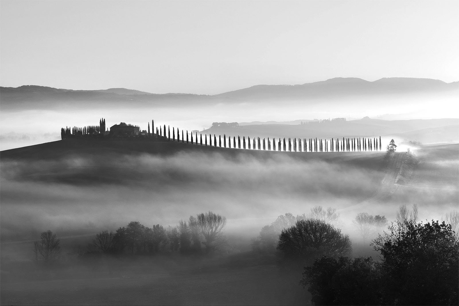 A serene black-and-white landscape shows distant rolling hills enveloped in mist. A line of tall, slender trees traces the ridgeline, leading to a cluster of buildings. The foreground features scattered trees partially obscured by the fog.