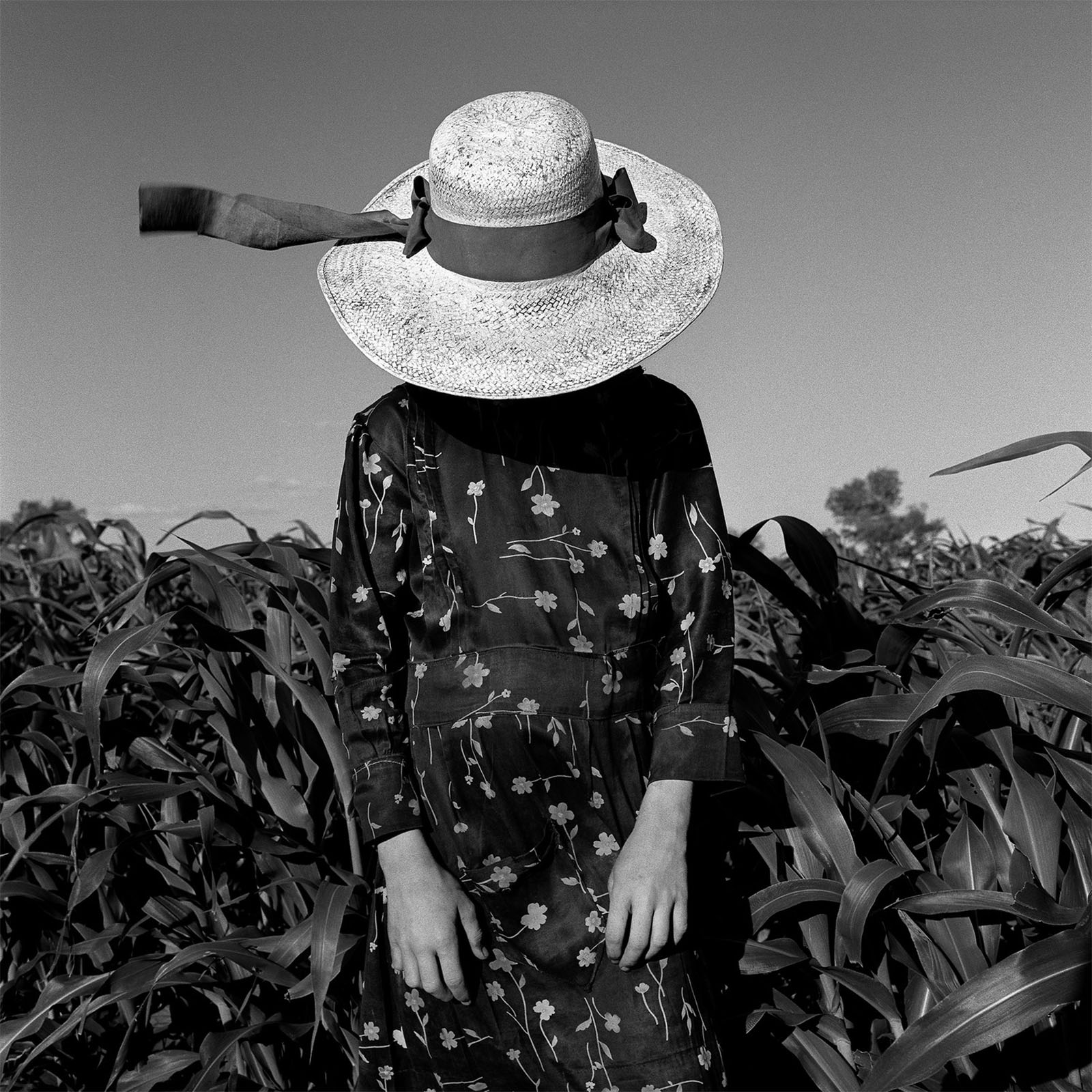 A person stands in a field of tall plants, wearing a patterned, long-sleeve dress and a wide-brimmed hat adorned with a ribbon. The hat obscures the person's face, and the ribbon trails in the wind against a clear sky.