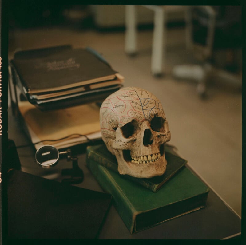 A phrenology skull with labeled sections sits atop a stack of books on a cluttered desk. Nearby, there are folders and a magnifying glass, creating an antique or academic atmosphere.