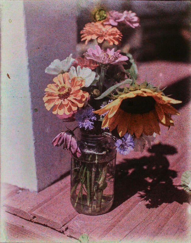 An early color photograph of vibrant flowers including sunflowers and daisies, arranged in a glass jar, set on a rustic wooden surface.