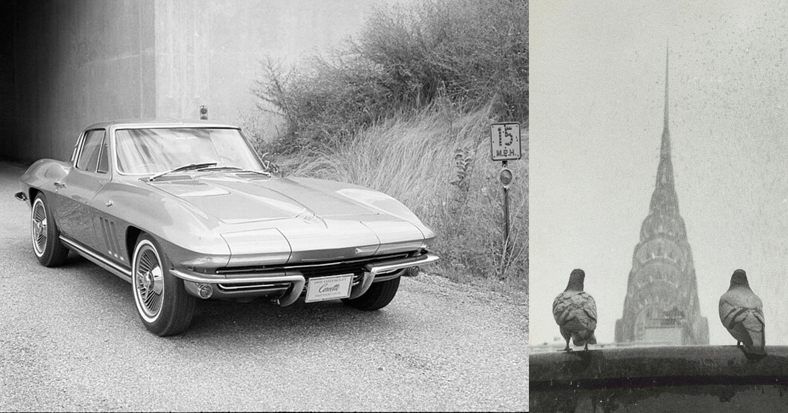 A split image featuring a classic Chevrolet Corvette parked on a road with a speed limit sign, "15 MPH", and dense bushes behind it (left). The right side shows two pigeons perched on a ledge overlooking the Chrysler Building spire in a foggy setting.
