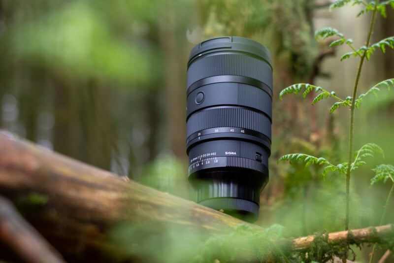 A Sigma camera lens is positioned on a tree branch in a lush, green forest. The foreground and background are blurred, bringing sharp focus to the lens, which features various adjustment rings and markings. Ferns and foliage surround the scene.