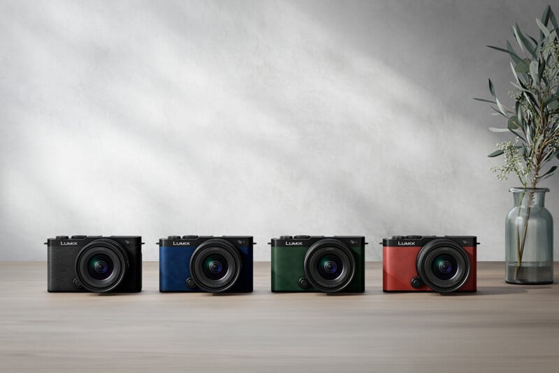Four cameras are displayed on a wooden surface in different colors: black, blue, green, and red. Each camera has a lens attached, and in the background, a minimalist vase with leafy branches is placed on the right side. The backdrop is a simple, light-colored wall.