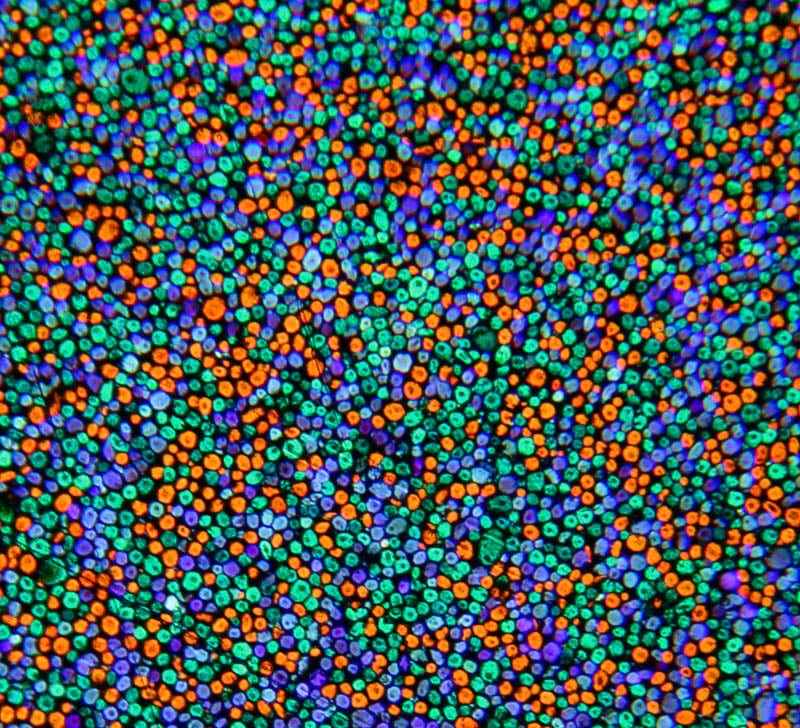 A close-up image of vibrant glitter particles exhibiting a range of colors including blue, green, orange, and purple, densely packed to create a shimmering effect.