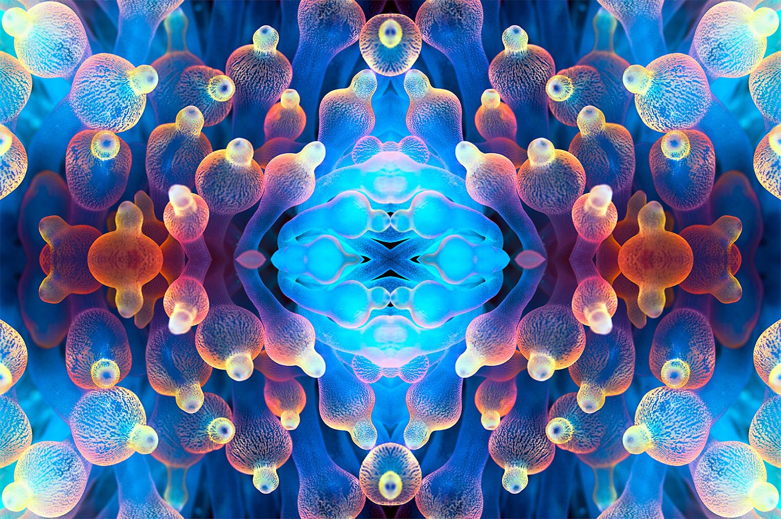 A vibrant, symmetrical abstract design features numerous bulbous shapes in various colors, including blue, red, orange, and yellow. The shapes are textured and appear to overlap, creating a kaleidoscopic, mirrored pattern against a dark blue background.