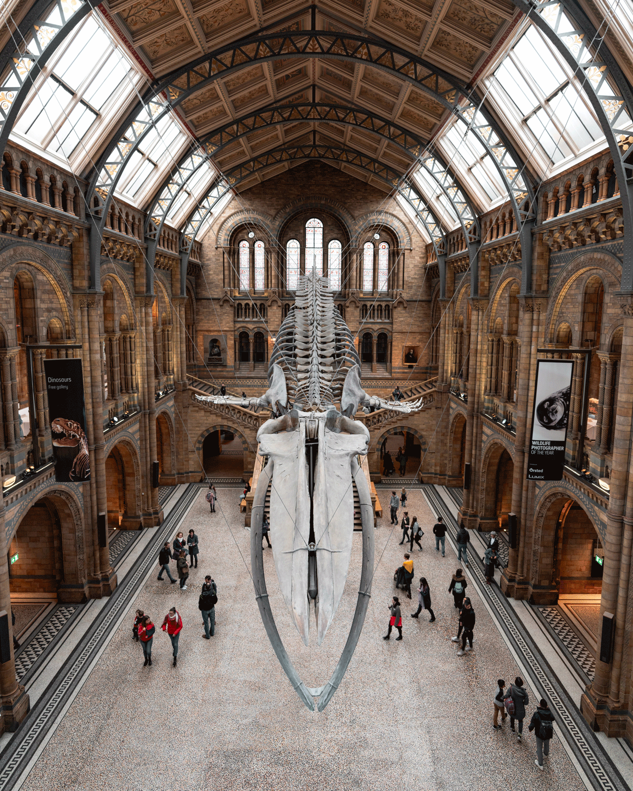 A large hall in the Natural History Museum, showcasing a giant whale skeleton suspended from the ceiling. Several visitors walk beneath the exhibit, admiring the architecture and displays. Tall arched windows and intricate detailing adorn the historic building.