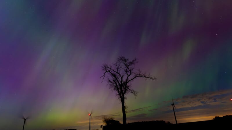 A vibrant aurora borealis stretches across a night sky above a silhouetted, leafless tree, with the blurred motion of wind turbines visible in the foreground.