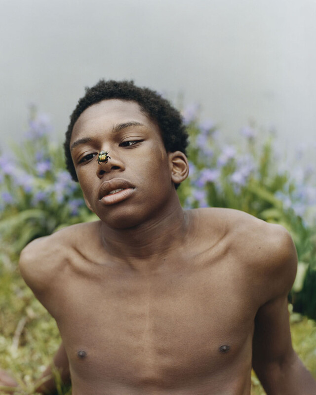 A shirtless young person with short, curly hair gazes into the distance while sitting on grass. A bee is perched on the tip of their nose. In the background, there are purple flowers and greenery. The person's expression appears thoughtful or contemplative.