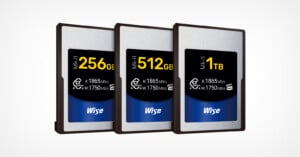 Image of three Wise brand memory cards in a line. From left to right, their capacities are 256GB, 512GB, and 1TB. Each card features text highlighting a read speed of up to 1865MB/s and a write speed of up to 1750MB/s. The cards have a metallic and black design.