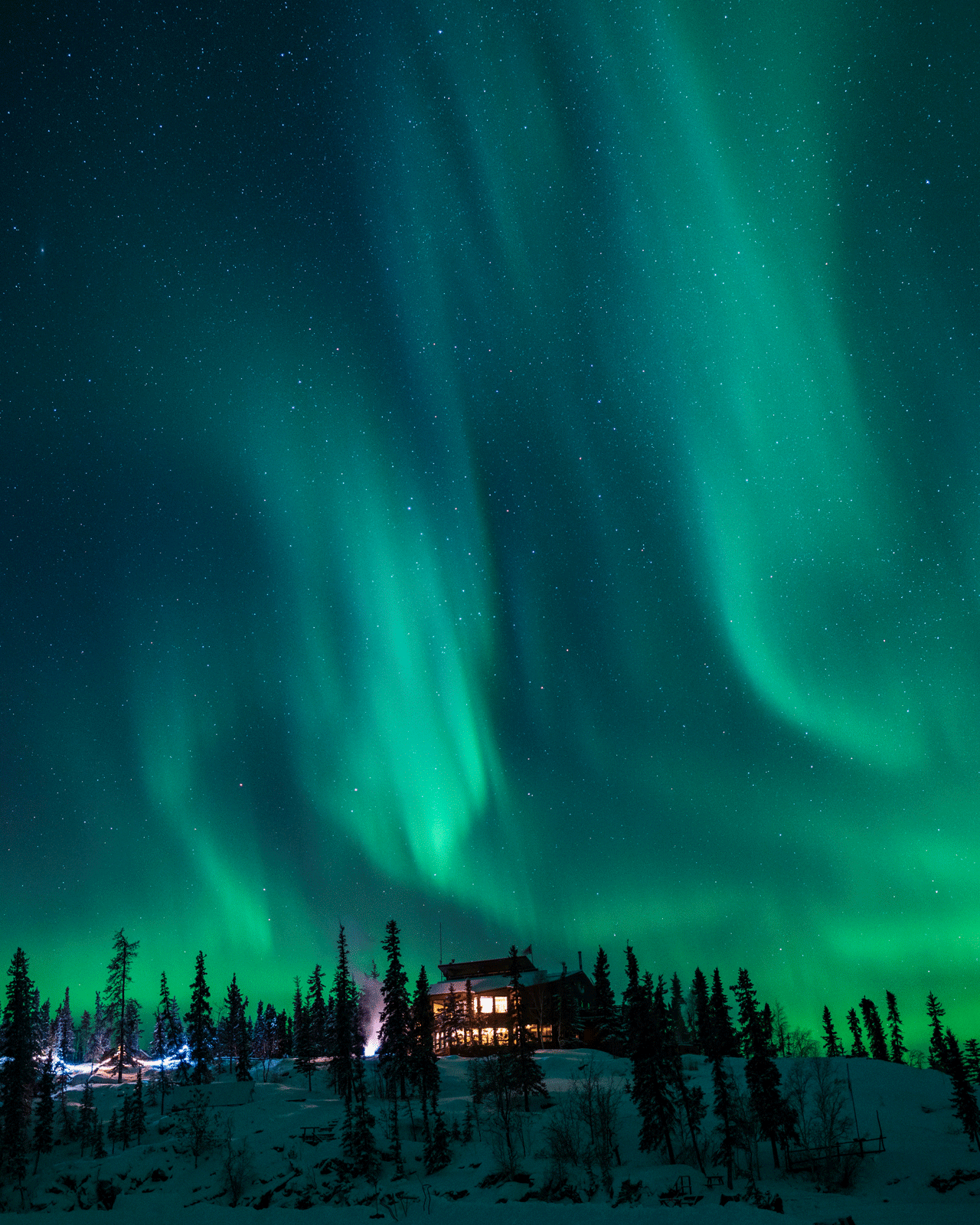 A beautiful display of the Northern Lights (Aurora Borealis) illuminates the night sky above a remote cabin surrounded by trees and snow. The vivid green lights arc gracefully across a star-studded sky, creating a serene and enchanting scene.