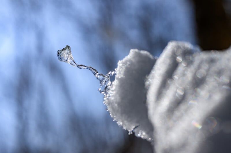 Close-up view of translucent ice crystals delicately hanging from a branch, backlit by sunlight with a softly blurred background of winter trees.