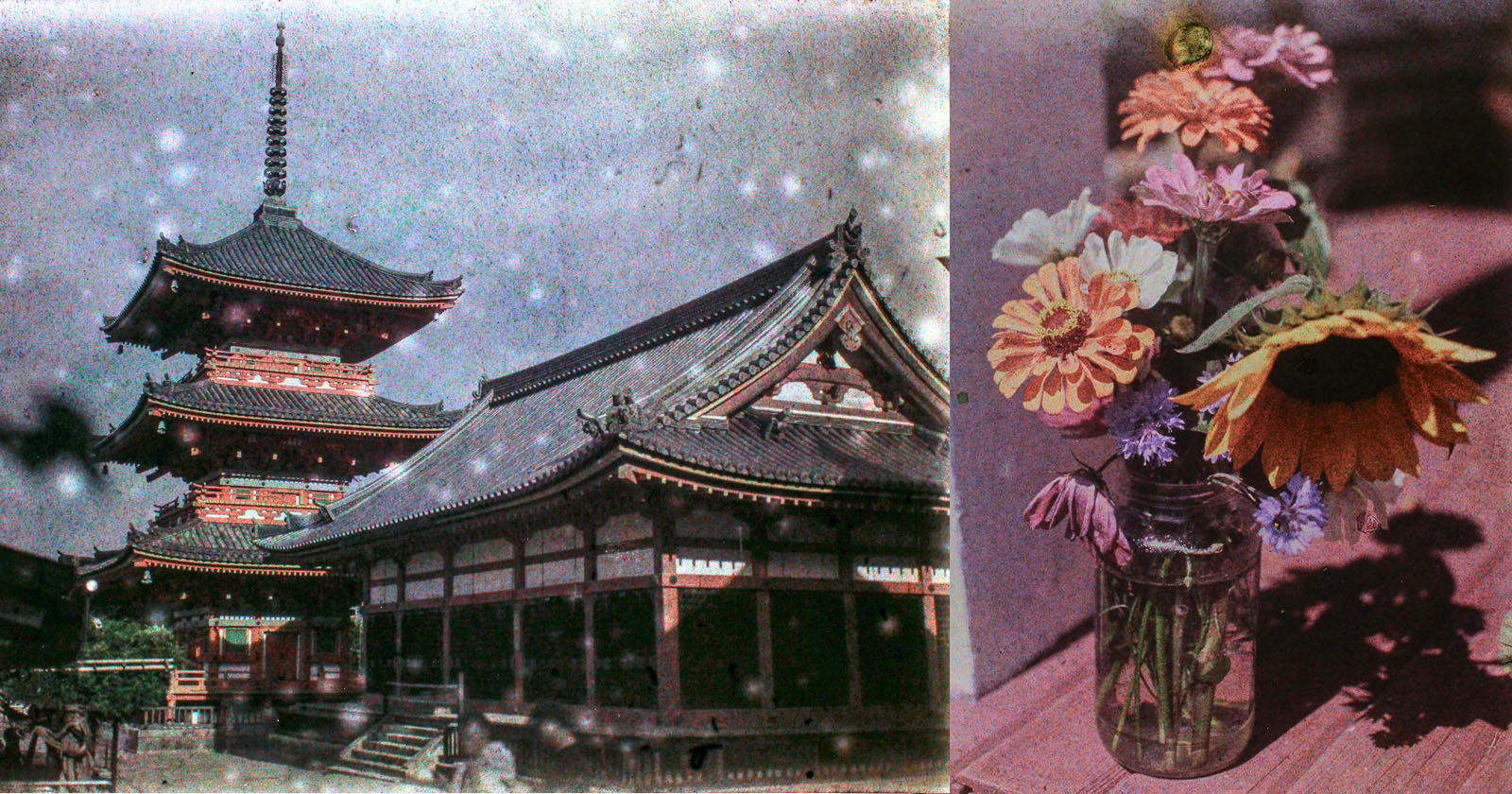 A split image featuring a traditional japanese pagoda with intricate wooden architecture on the left and a colorful bouquet of flowers in a glass jar casting shadows on a table on the right.