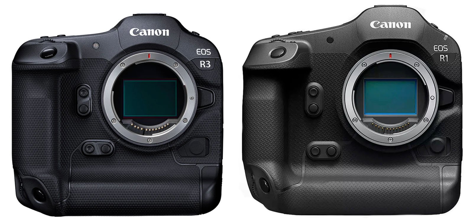 Two Canon DSLR cameras, the EOS R3 on the left and the EOS R1 on the right, both without lenses attached. The cameras are black and feature several buttons and dials for controls. The name "Canon" is printed at the top of both cameras.