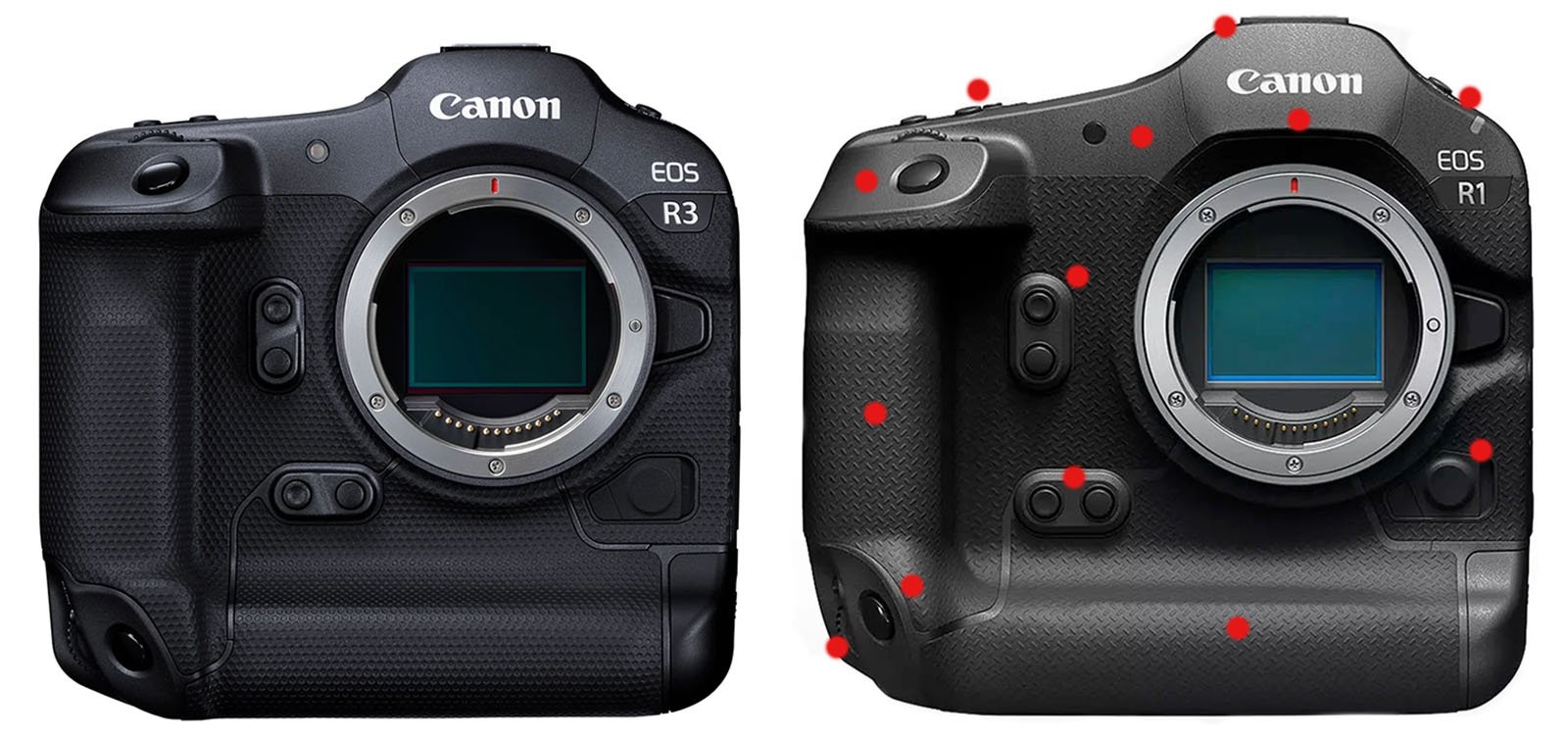 A side-by-side comparison of two Canon camera bodies, the EOS R3 on the left, and the EOS R1 on the right. Both cameras have a similar design, but with noticeable differences in button layout and ergonomics. The sensors are visible, and the Canon logos are prominent.