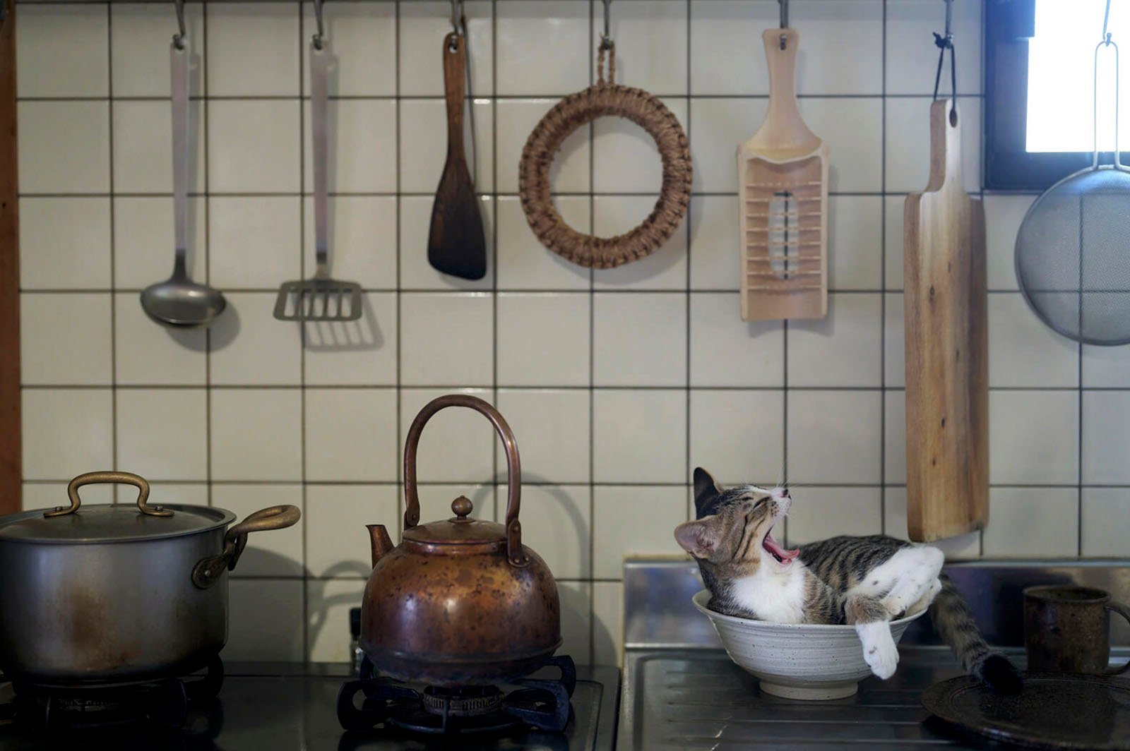 A cozy kitchen counter with hanging utensils and a kitten playfully inside a small woven basket, surrounded by a copper tea kettle and pots.