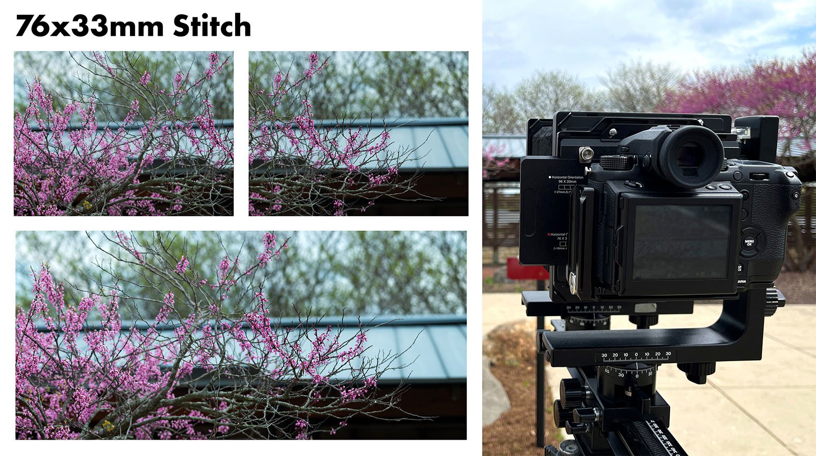 A collage displaying a panoramic photograph of a blooming pink tree along with an image of a digital camera mounted on a tripod, positioned to capture the scene.