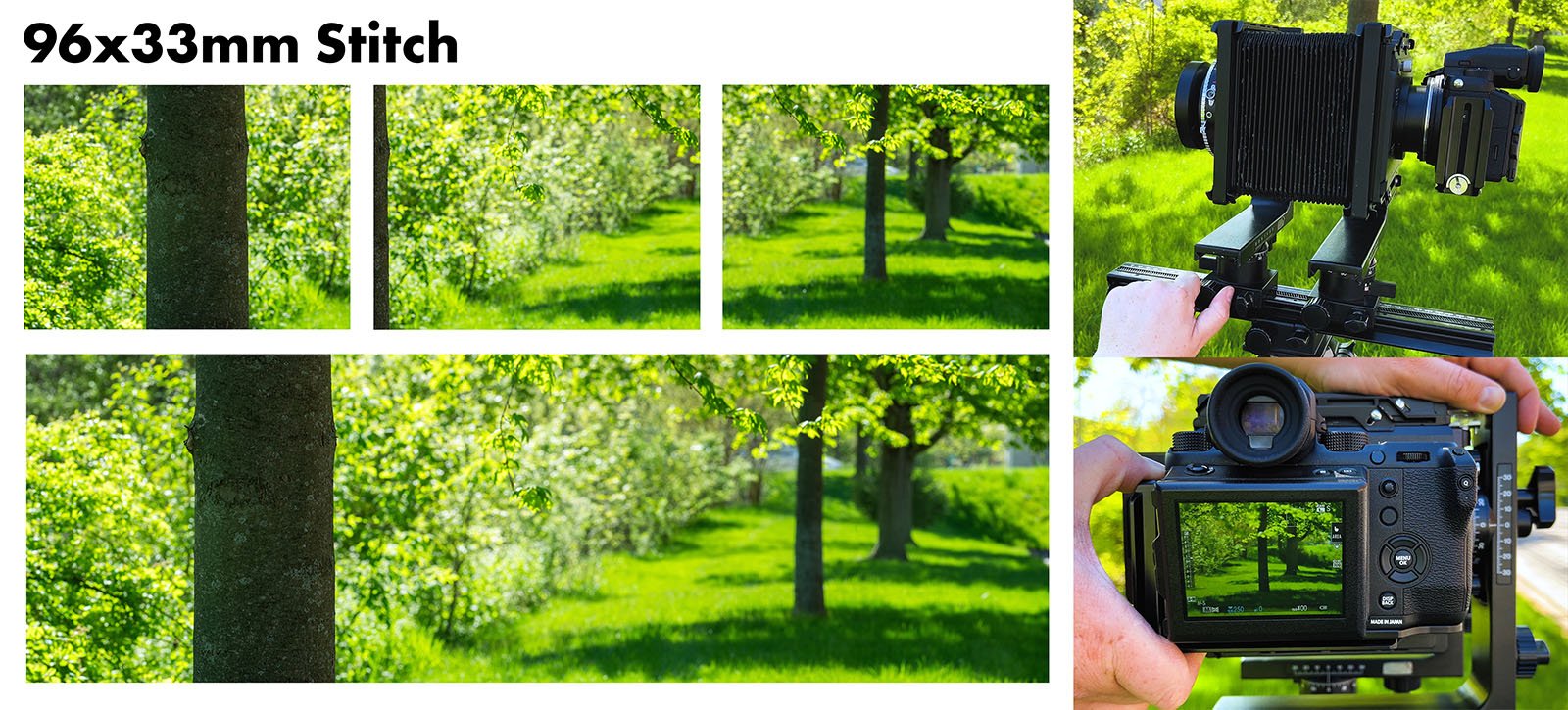 A composite image showing six photographs of a lush green park with trees, with close-ups and wide shots. two images display cameras capturing the scenes, one a dslr and the other a vintage camera.