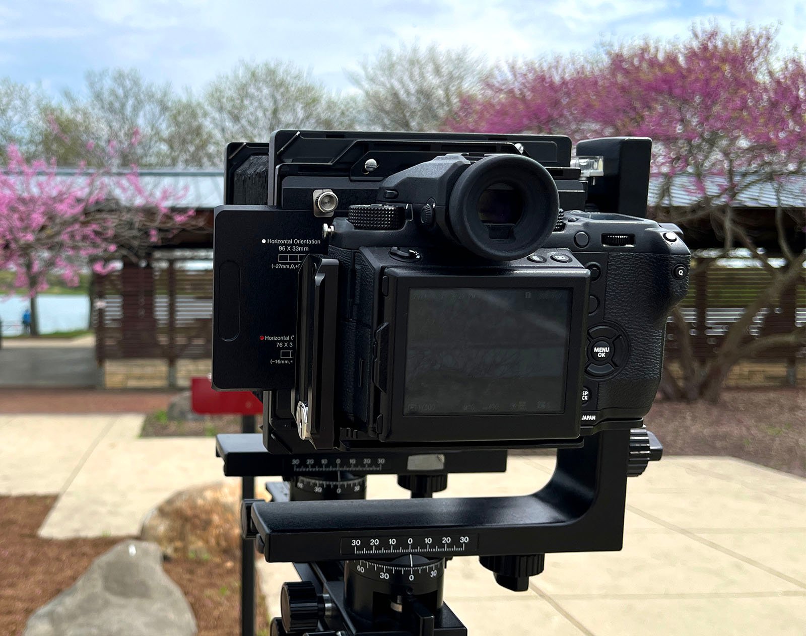 A professional digital camera mounted on a tripod, facing a scene of blooming pink cherry trees in an outdoor park.