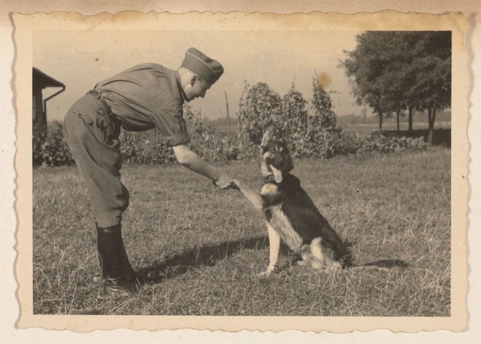 A sepia-toned photograph of a soldier wearing a cap and uniform shaking hands with a black and white dog sitting in a field. Trees and plants can be seen in the background. The edges of the photo are slightly worn and yellowed, giving it a vintage feel.