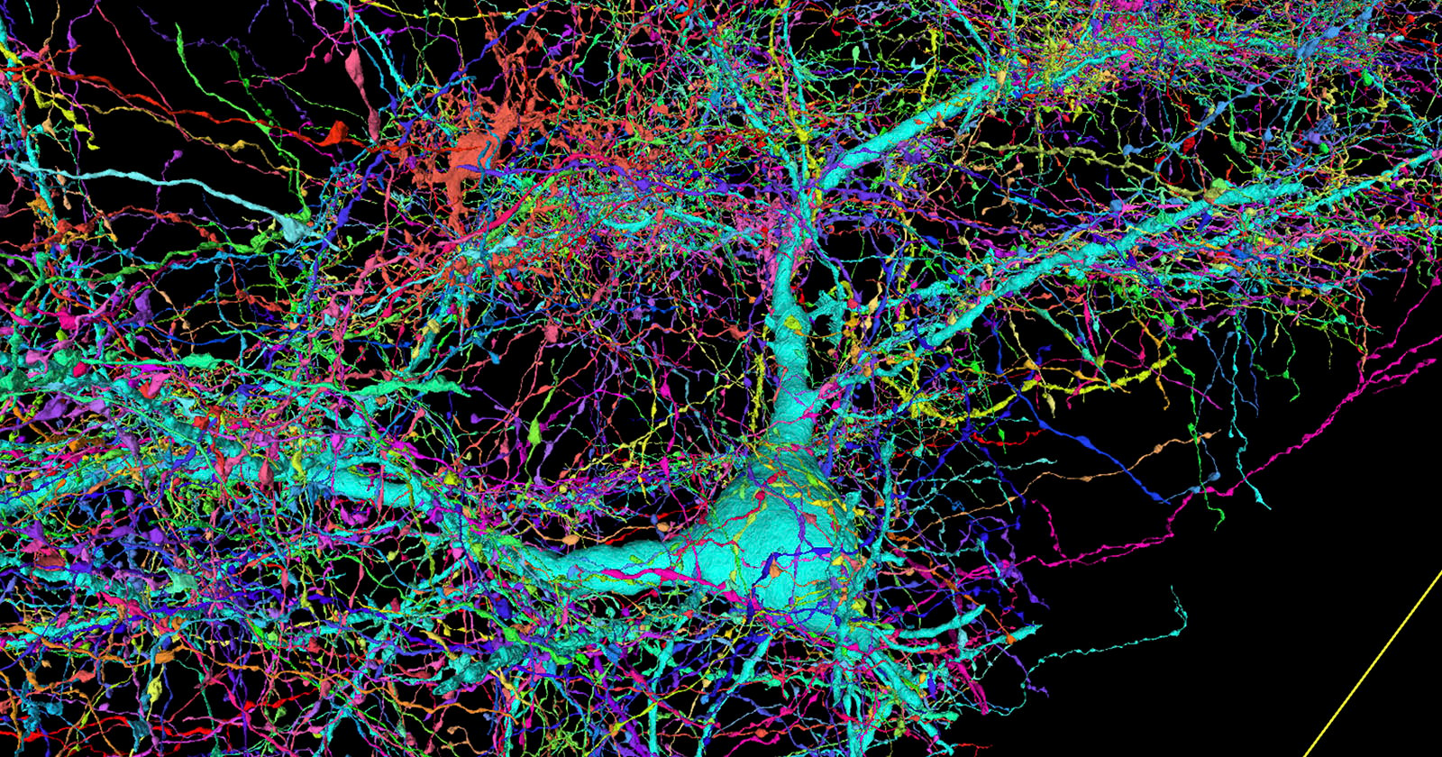 A highly detailed, colorful 3D rendering of neural networks and brain cells, featuring an intricate web of interconnected lines in a diverse palette on a dark background.