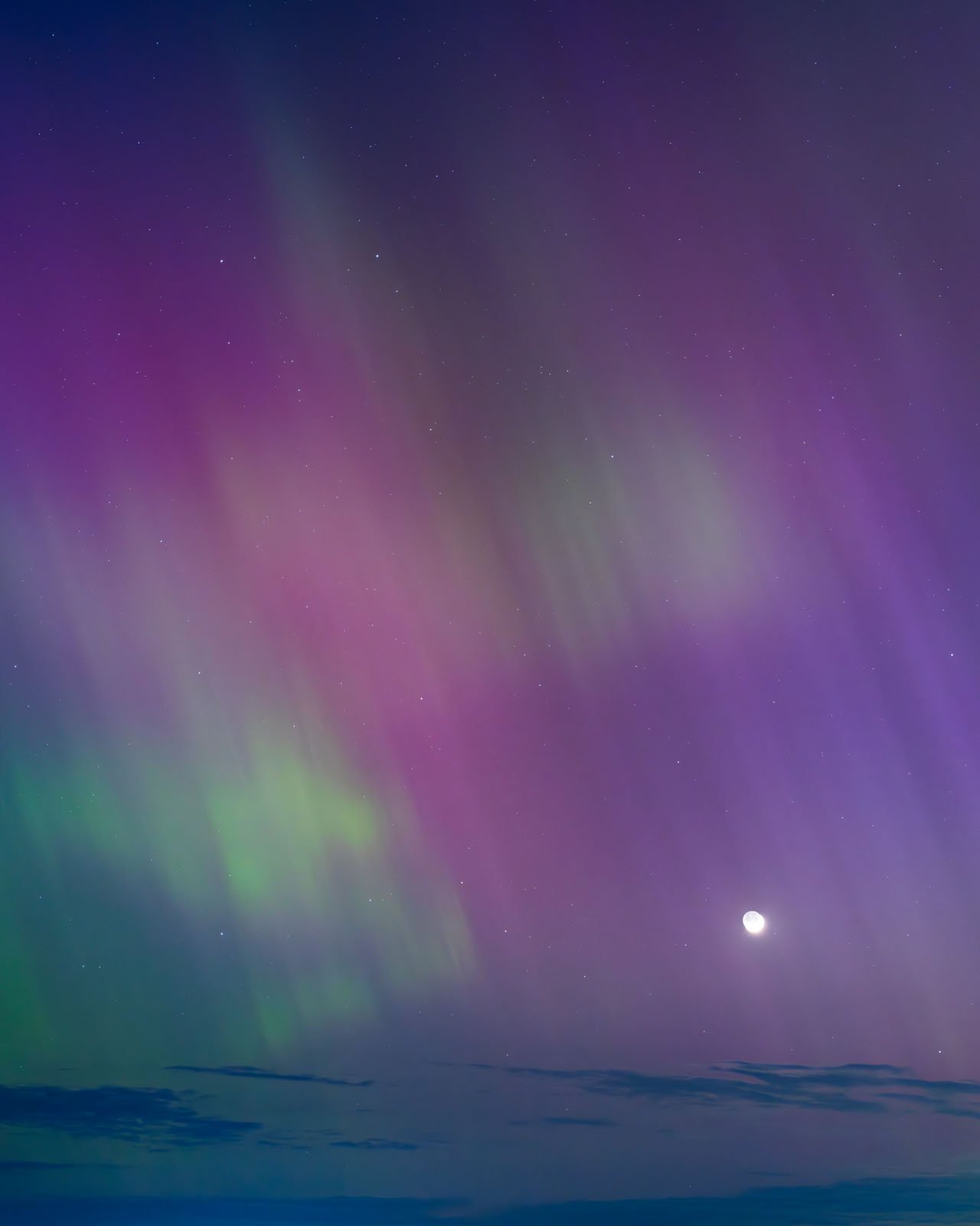 Vibrant aurora borealis displays vivid pink and green streaks across a twilight sky, with a bright moon visible near the horizon.