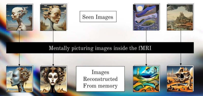 A graphic depicting fMRI-based image reconstruction. The top row shows "Seen Images" with various fantastical art. The bottom row labeled "Images Reconstructed From Memory" displays similar but altered versions of the top images, emphasizing the brain's memory processing.