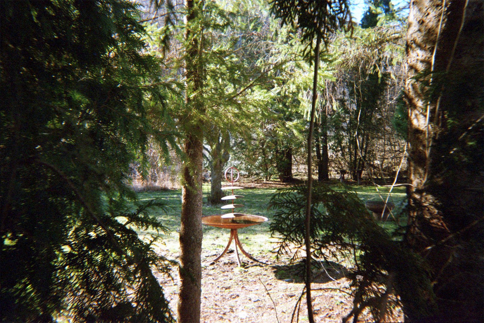 A wooden table stands in a wooded area with a stack of white plates and a metal ring suspended above them. Sunlight streams through the trees, illuminating parts of the scene and casting shadows on the ground.