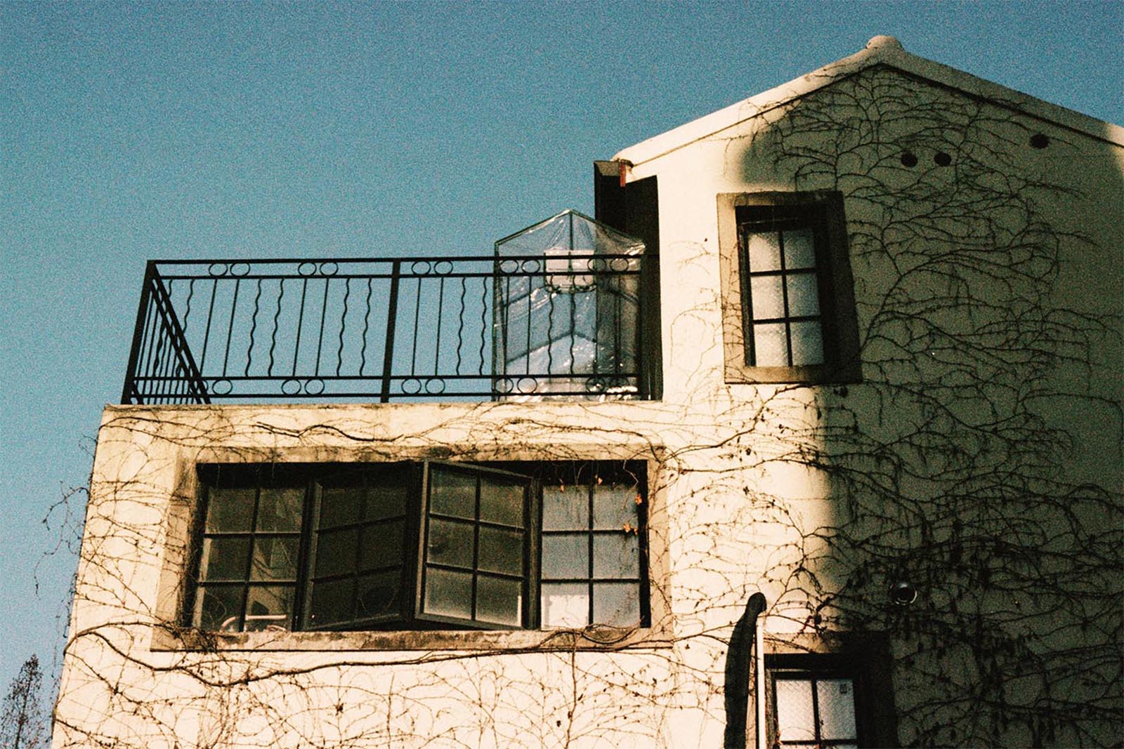 An old building facade covered in dried vines under clear skies, featuring large windows and a balcony with an ornate railing.