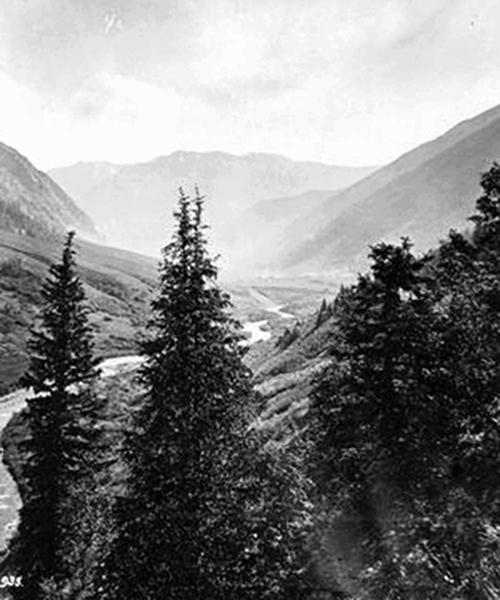 Black and white image of a scenic mountain valley with a river meandering through it, flanked by dense forests and towering trees in the foreground.