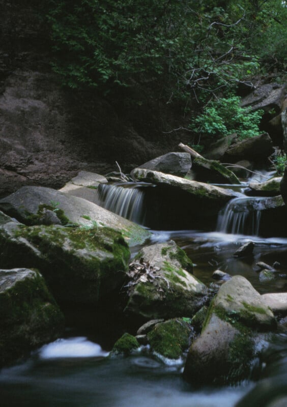 A serene forest stream flows gently over moss-covered rocks, creating small waterfalls. The surrounding vegetation is lush and green, contributing to the tranquil and natural ambiance of the scene.