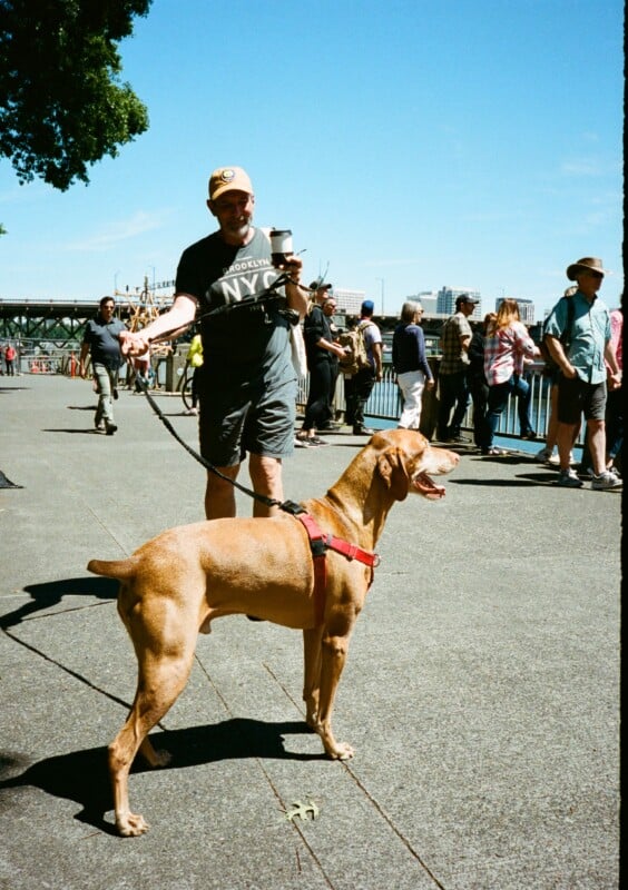 A man in a black "Brooklyn NYC" t-shirt and gray shorts holds the leash of a brown dog wearing a red harness. They are on a sunny waterfront promenade with a line of people and a cityscape in the background. The man appears to be smiling.