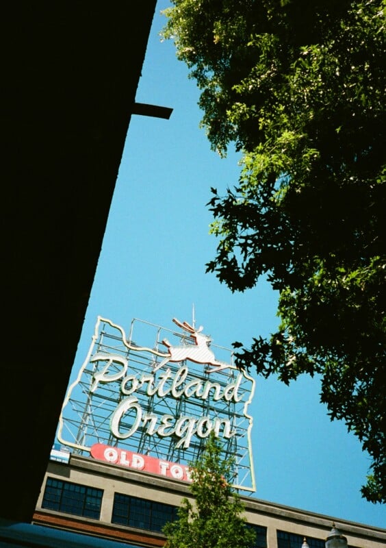 A vintage-style neon sign reads "Portland Oregon" with an illustration of a deer. A building is partially visible below, and a tree with green leaves frames the top right. The sky is clear and blue.
