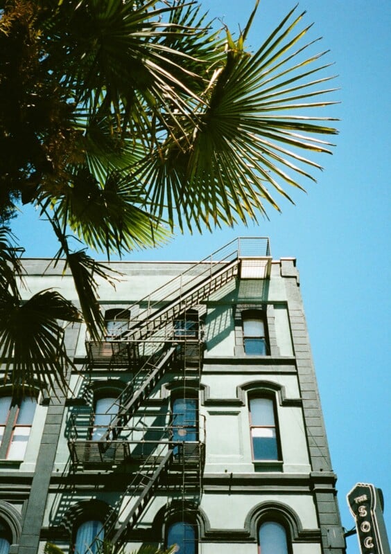 A four-story building with fire escapes on the side, set against a clear blue sky. Palms fronds are visible in the foreground, and a vertical sign with the word "STOP" in white letters on black background is partially visible on the right side.