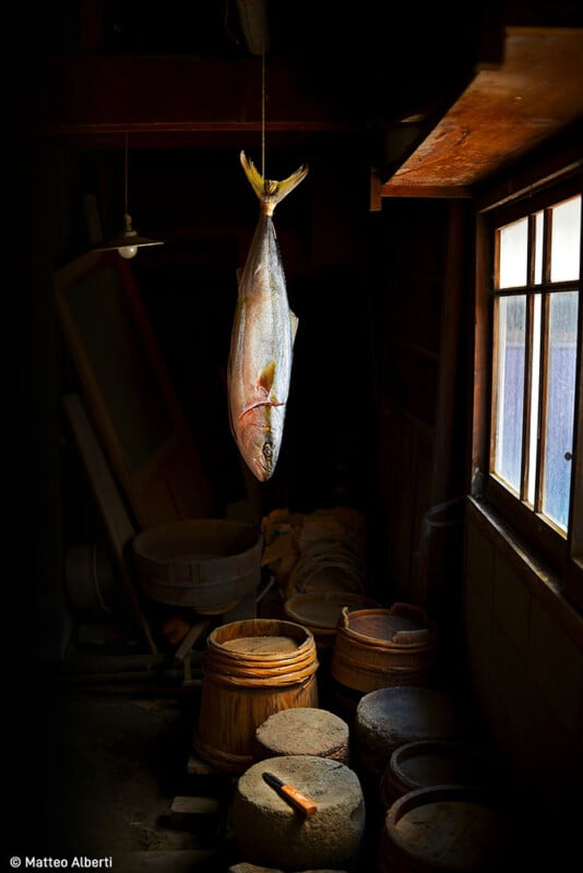 A large fish is suspended by its tail in a dimly lit wooden room. Below, there are wooden barrels and a knife placed on a stone surface. Sunlight filters through a window on the right, casting a warm glow on the scene.© Matteo Alberti.