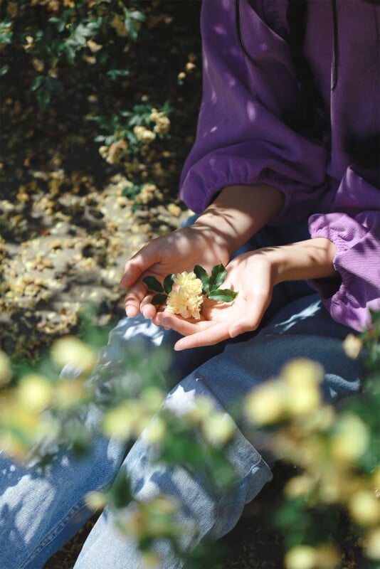 A person wearing a purple top and blue jeans is sitting outdoors, holding a small bouquet of yellow flowers. Sunlight filters through the foliage, illuminating the hands and flowers. The scene is serene and peaceful, with delicate flowers in focus.