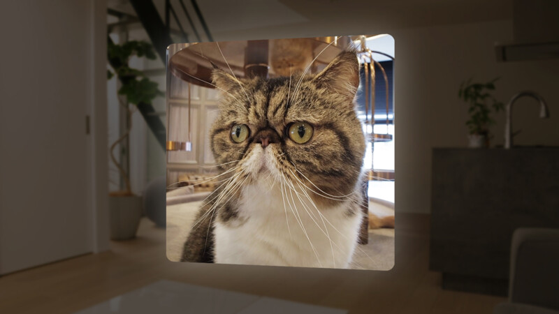 A close-up of a cat with large green eyes and a slightly flattened face. The cat has a brown and white striped coat and is indoors, with furniture and a plant in the background. The scene looks modern and well-lit.